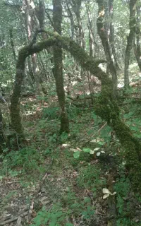 پول رایگان،۱۰۰هزار و یا هم بیشتر از ۱۰۰ هزار