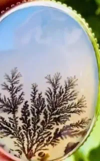 فروش شجر طلا نقره قلم استاد معلم