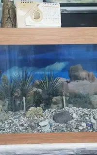 آکواریوم کامل با لوازم