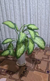 فروش تعدادی گل