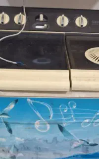 لباسشویی دوقلو اسنوا