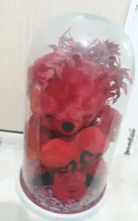 دو عدد عروسک‌در داخل استوانه
