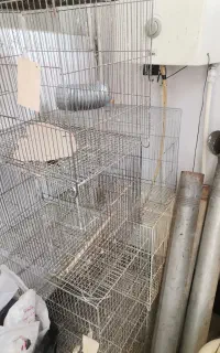 قفس کار کرده