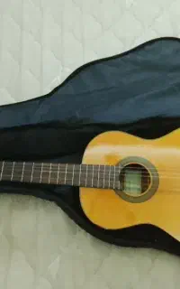 گیتار در حد نو بدون خط و خش چون استفاده نکردم