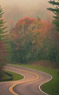 تور.داخل استان