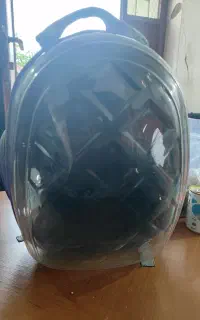 وسایل جانبی گربه