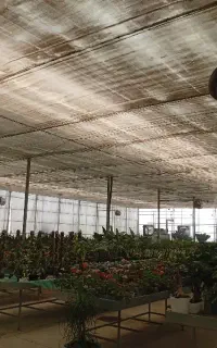 نیروی کار بلد برای گلخانه