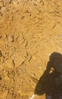جذب سرمایه گذار