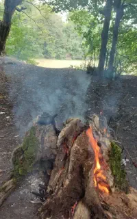 نیرو خانم برای تولید محتوا