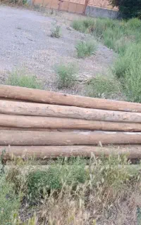 باسلام خرید چوب باقیمت بالا