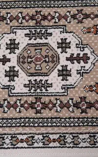 پادری طرح کلیم