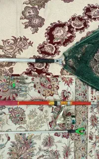 لنسر ماهیگیری