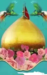 تور کربلا باقیمت مناسب