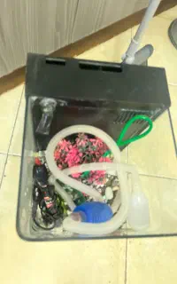 آکواریوم