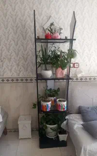 استند گل