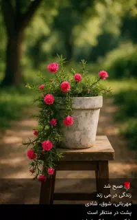 صندوق خانگی