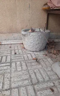 هیونگ سنگی قدیمی بزرگ