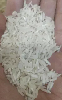 برنج هاشمی