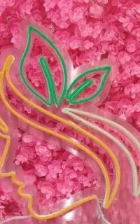 خدمات زیبای در سالن ملودی