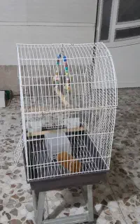 قفس پرنده