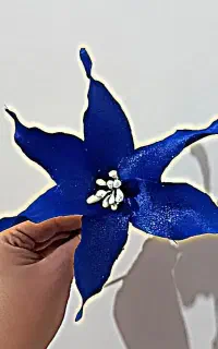 ثبت سفارشات عروسک ارایی