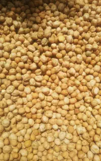 نخود ابگوشتی کرمانشاهی