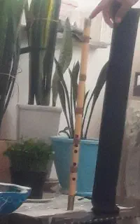 نی استادمحمودرسولی وکیفش