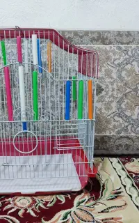 قفس بزرگ