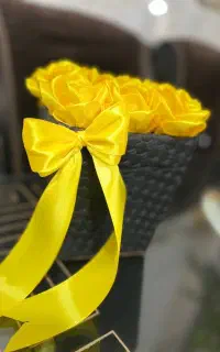 رز ربانی و عروس