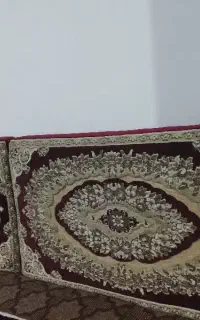 دو جفت پشتی