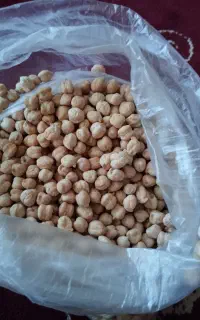 نخود محلی 700کیلو موجود کیلو 220
