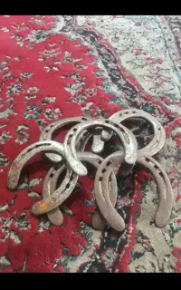 تعداد ی نعل اسب کارکرد به فروش می‌رسد