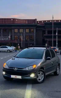 ۲۰۶ تیپ ۳ سفارشی