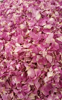 گل محمدی درجه ۱