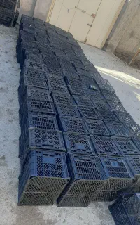 سبد میوه