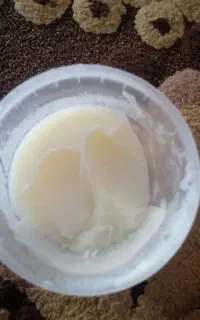 روغن گوسفند