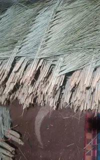 یا اللَّـهُ