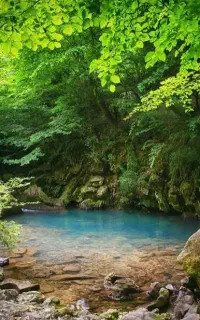 تور دیورش زیبا یکروزه ۱۰ مهر