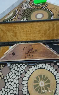 سنتور.حرفه ای