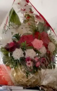 گل خواستگاری