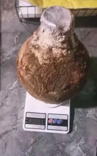 فوری سنگ میخ ذوب کن و مفکات فروری