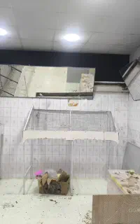 آینه مناسب مغازه وغیره