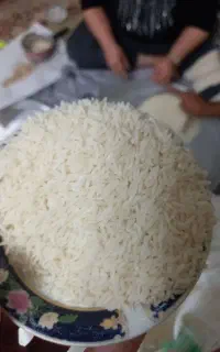 برنج طارم هاشمی