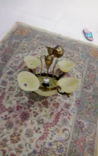 لوسترپنج شاخهدرحدنو