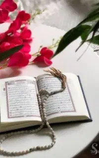 سرکتاب استخاره دعا تضمینی