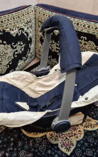 کریر برند دلیجان