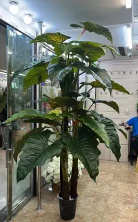 اینه کنسول اقساطی بدون پیش پرداخت گالری شفق