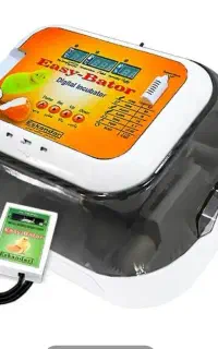 دستگاه جوجه کشی ۱۲ تایی اتوماتیک ایزی باتور۶