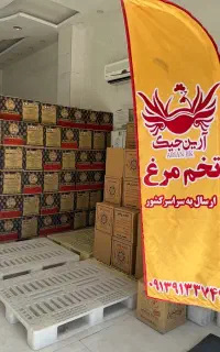 پخش عمده تخم مرغ