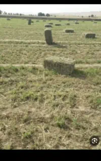 پرس یونجه خشک  چین ۴